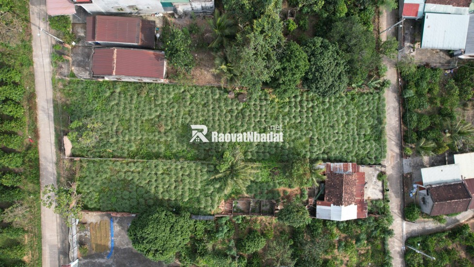 Vị trí đắc địa tại xã Đăk Mar