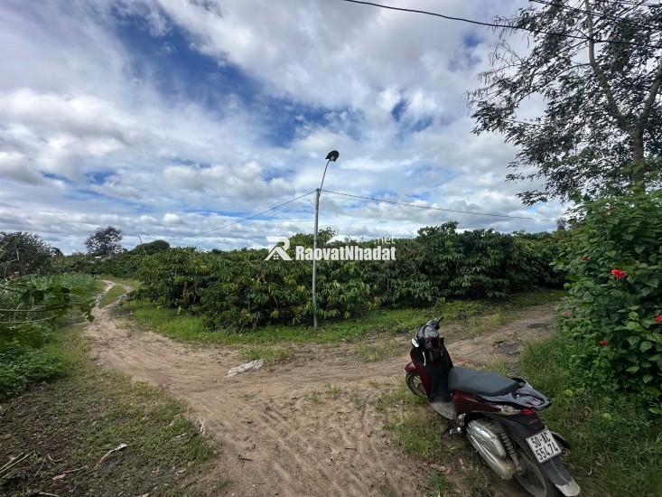 Vị trí đắc địa tại xã Đăk Mar