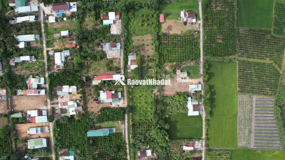 Đất vàng Kon Tum