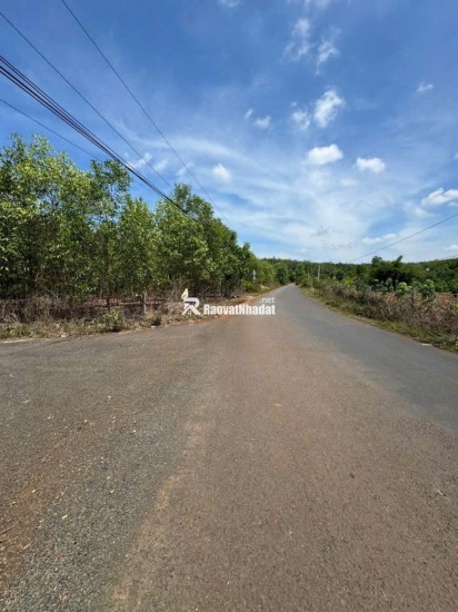 BÁN ĐẤT LÀM NHÀ VƯỜN