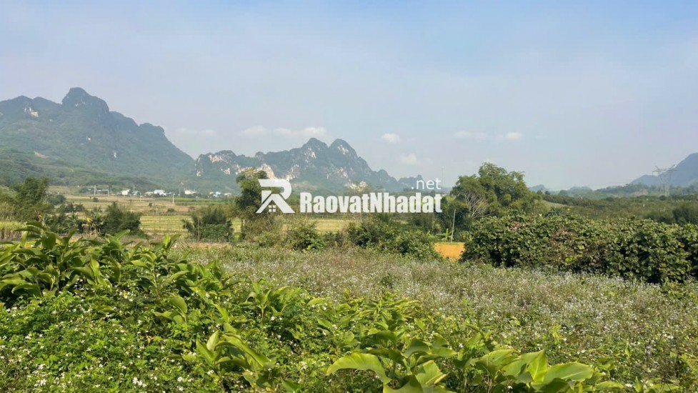 Đất Cao Phong Giá SỐC Chỉ Dưới 1 Triệu/m² Sở Hữu 6000m² View Cánh Đồng cách QL6 chưa đến 1km