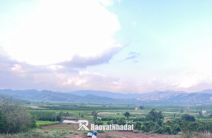 CHÍNH CHỦ CẦN BÁN 5 SÀO ĐẤT THANH BÌNH