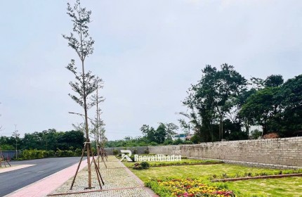 TrendingXXX 100 m2 đất thổ cư - Ngay Ngã tư chợ hòa lạc
- MT 6,8m