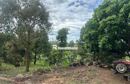 Đất vàng Kon Tum
