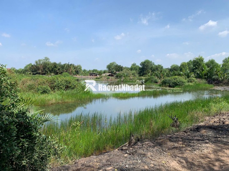 CẦN BÁN 3000M2 ĐẤT NÔNG NGHIỆP TP THỦ ĐỨC, GIÁ 5 TỶ 1 CÔNG. LH:0918372372.