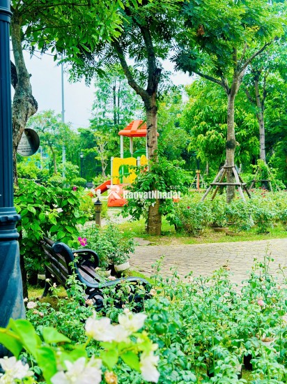 4 LIỀN KỀ CEOHOMES HANA GARDEN – KHÔNG GIAN SỐNG ĐA NĂNG, KHAI THÁC LINH HOẠT