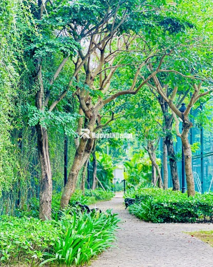  LIỀN KỀ CEOHOMES HANA GARDEN – KHÔNG GIAN SỐNG ĐA NĂNG, KHAI THÁC LINH HOẠT