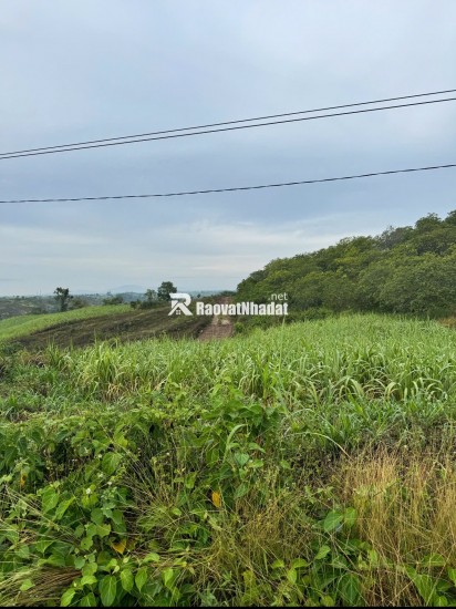 BÁN 35.000M² ĐẤT RẪY MẶT TIỀN ĐƯỜNG NHỰA – EA SÔ, EA KAR, ĐẮK LẮK