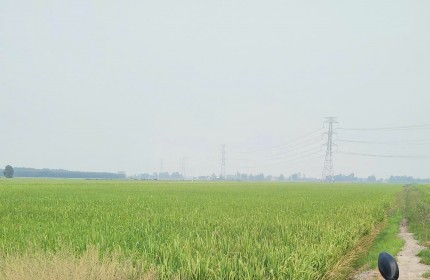 BÁN ĐẤT TÂN THẠNH, LONG AN – TDT 44000 M2 – SHR - 15 TỶ. LH:0989327777 - MR.QUỐC