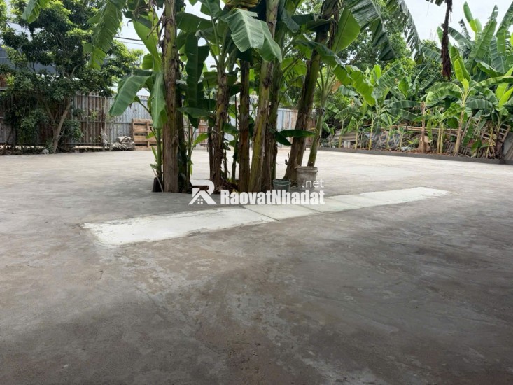 CHO THUÊ SÂN VƯỜN TẠI TÂN XUÂN, PHƯỜNG XUÂN ĐỈNH, HÀ NỘI. LH:0912172283.