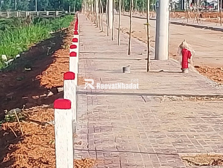 CHÍNH CHỦ BÁN NHANH 3 LÔ ĐẤT LIỀN KỀ TẠI PHÙ MỸ, GIA LAI – VỊ TRÍ ĐẸP, VIEW BỜ KÈ