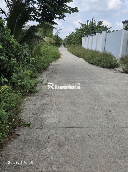 CHÍNH CHỦ BÁN GẤP ĐẤT THỔ CƯ BÌNH CHÁNH – 350M² – GIÁ 5,7 TỶ