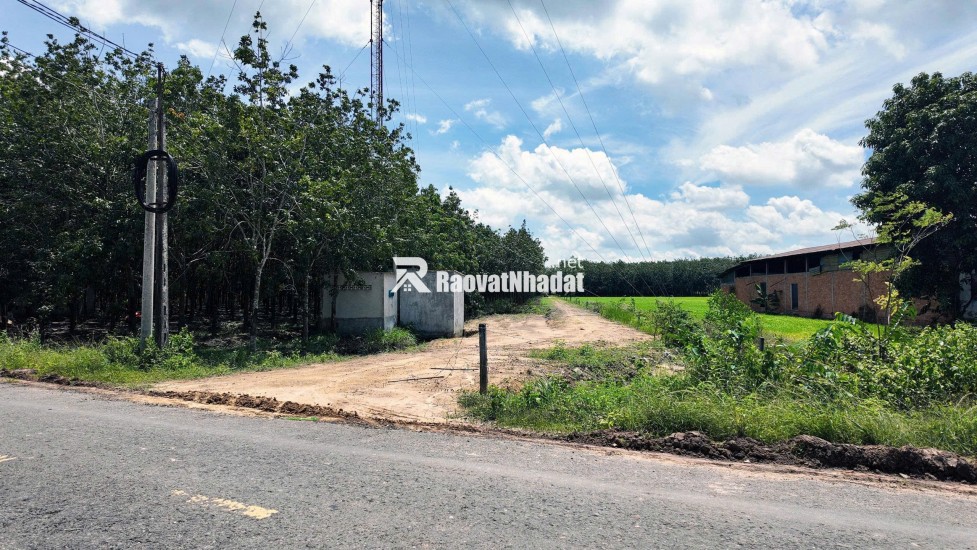 ĐẤT BẾN CẦU TÂY NINH 11.282M2 CHỈ 3TY5, VỊ TRÍ ĐẸP, SỔ TRAO TAY. CHÍNH CHỦ 0988882003.