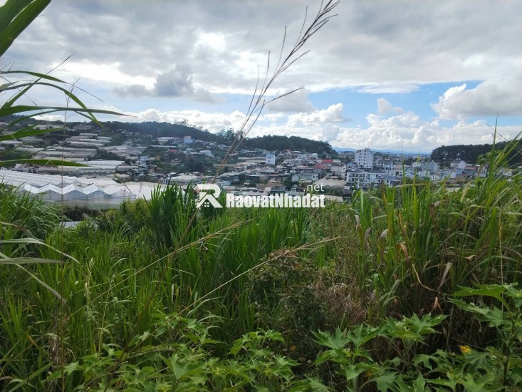 ĐẤT ĐẸP TÔ HIỆU – ĐÀ LẠT  VIEW THOÁNG – ĐƯỜNG Ô TÔ TẬN NƠI
