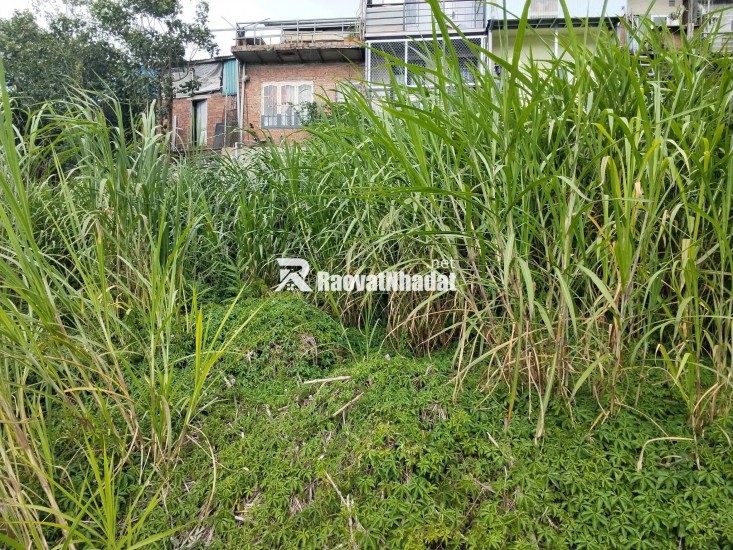 ĐẤT ĐẸP TÔ HIỆU – ĐÀ LẠT  VIEW THOÁNG – ĐƯỜNG Ô TÔ TẬN NƠI