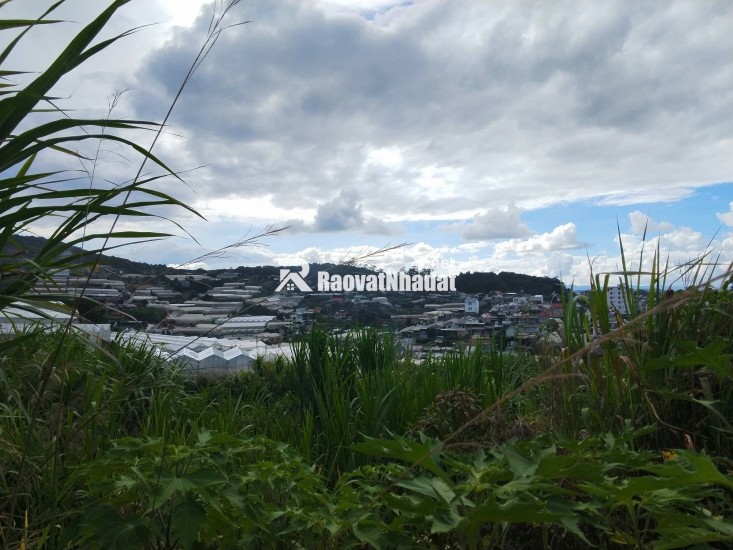 ĐẤT ĐẸP TÔ HIỆU – ĐÀ LẠT  VIEW THOÁNG – ĐƯỜNG Ô TÔ TẬN NƠI