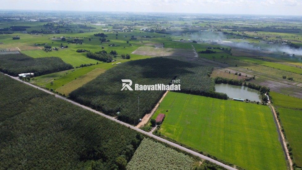 ĐẤT BẾN CẦU TÂY NINH 11.282M2 CHỈ 3TY5, VỊ TRÍ ĐẸP, SỔ TRAO TAY. CHÍNH CHỦ 0988882003.