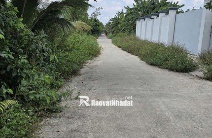 CHÍNH CHỦ BÁN GẤP ĐẤT THỔ CƯ BÌNH CHÁNH – 350M² – GIÁ 5,7 TỶ
