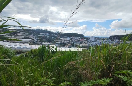 ĐẤT ĐẸP TÔ HIỆU – ĐÀ LẠT  VIEW THOÁNG – ĐƯỜNG Ô TÔ TẬN NƠI