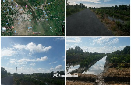 BÁN 3 THỬA ĐẤT – LỘ NHỰA 6M – THÀNH TRUNG, BÌNH TÂN, VĨNH LONG