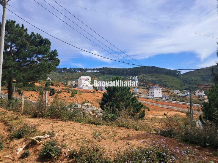 Bán Đất Lớn Lang biang 53,000 m2