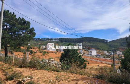 Bán Đất Lớn Lang biang 53,000 m2