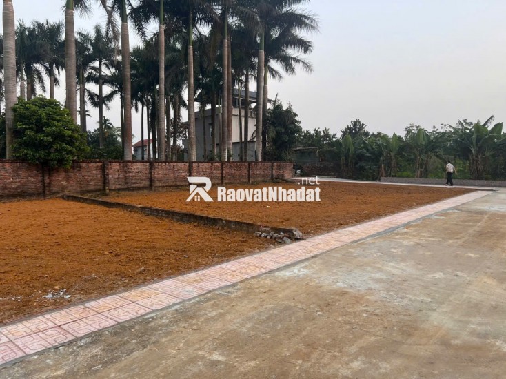 SĂN ĐẤT HÒA LẠC – 100M² NỞ HẬU, SÁT TRỤC DH09 PHÚ CÁT!
