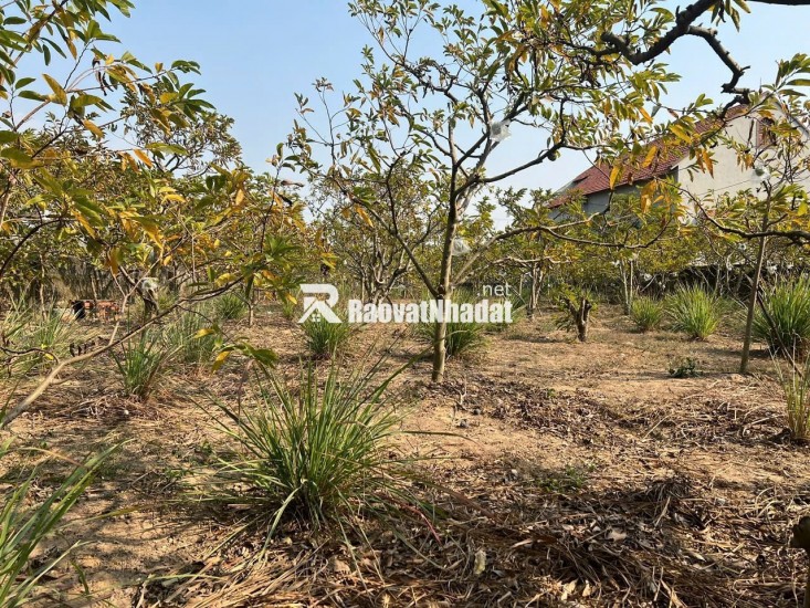 964M² ĐẤT HOÀNG TIẾN – QUỸ ĐẤT RỘNG, KINH DOANH CỰC ĐỈNH - TIỀM NĂNG SINH LỜI MẠNH!