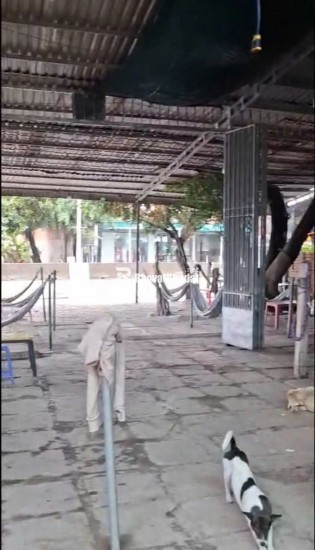 BÁN ĐẤT CÁI BÈ TIỀN GIANG, DT 2CÔNG8 - SHR - 17.5 TỶ. LH:0354408935