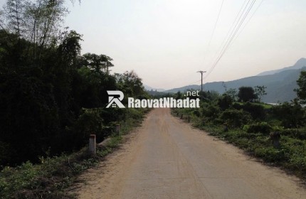 cc 034 3097143 Bán 7.5hecta đất rừng sản xuất view Sông bám suối đại lộc Có keo 2 năm,  Đà Nẵng